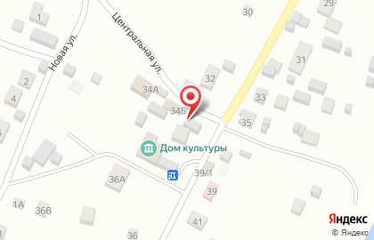 Корзинка Бочкаревых на карте