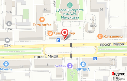 Магазин цветов Кристина в Советском районе на карте