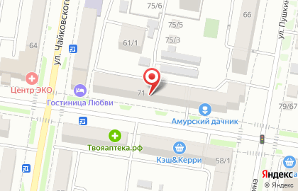 Центр микрофинансирования Деньги на Амурской улице на карте