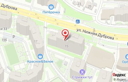 Салон оптики Сокол во Владимире на карте