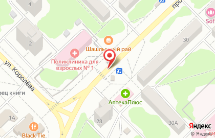 Служба доставки Инь-Янь в Димитровграде на карте