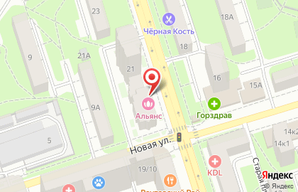 Химчистка-прачечная Аист на улице Ленина в Реутове на карте
