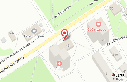 Универсальный магазин Fix Price на проспекте Александра Невского на карте
