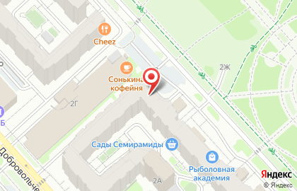 Феникс стар на карте