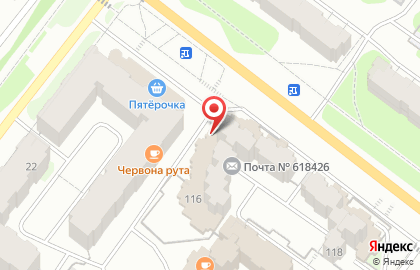 Магазин зоотоваров Усатый полосатый на улице Пятилетки на карте