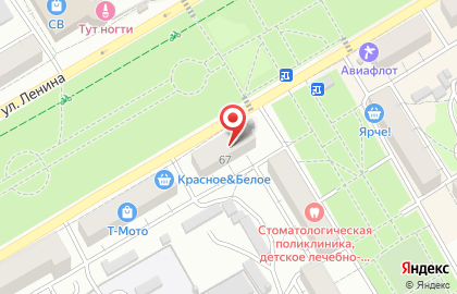 Зоомагазин Золотая рыбка на Красноармейской улице на карте