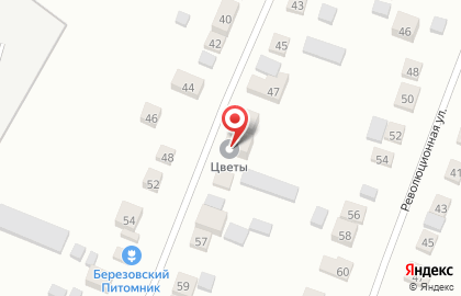 Тепличное хозяйство Березовский питомник в Екатеринбурге на карте