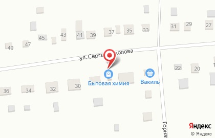 Магазин бытовой химии с. Гусево на карте