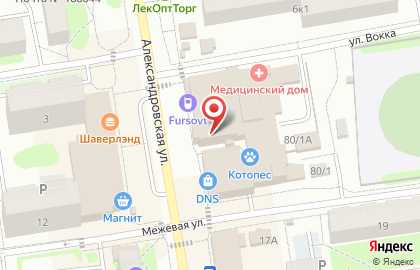 Магазин цифровой и бытовой техники DNS на Александровской улице во Всеволожске на карте