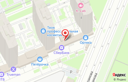 Терминал СберБанк в Выборгском районе на карте