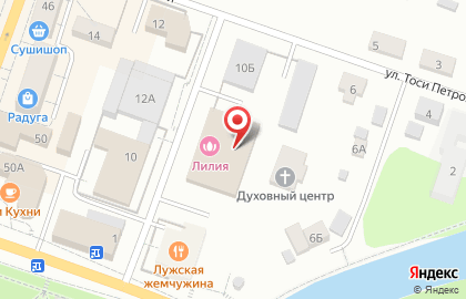 Баня в Луге на карте