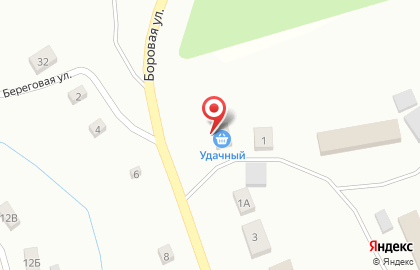 Магазин продуктов Удачный на Боровой улице на карте