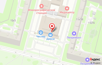 Супермаркет Дикси на проспекте Испытателей на карте