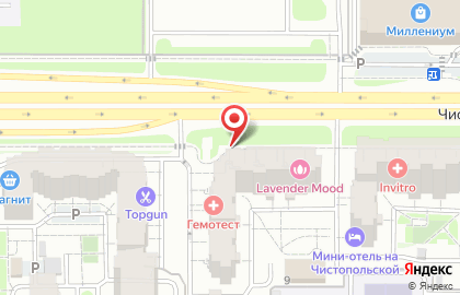 Студия цветов Fmart by flowwow x Chistopolskaya на карте