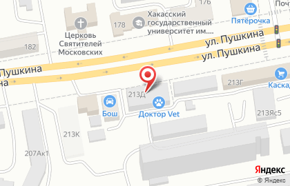 Ветеринарная клиника Доктор Vet на улице Пушкина на карте