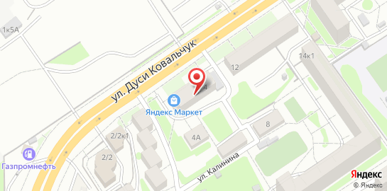 Ветеринарный центр Балу на улице Дуси Ковальчук на карте
