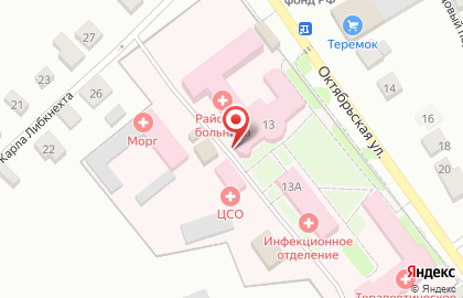 Темниковская районная больница им. А.И. Рудявского на карте