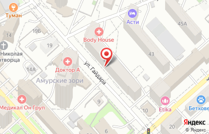Центр оздоровительных практик Body House на улице Гайдара на карте