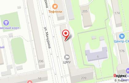Сеть квартирных гостиниц ДОМОВОЙ на улице Мичурина на карте