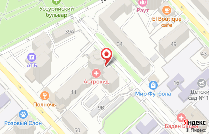 Рыбодобывающая компания ДВ-Ресурс на карте