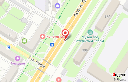 Центр земельно-кадастровых работ на проспекте Ленина на карте