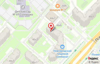 Школа скорочтения и развития интеллекта iq 007 в Великом Новгороде на карте