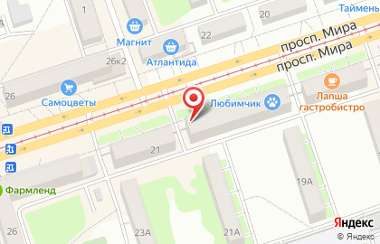 ЦНиИ DMD Недвижимость на карте