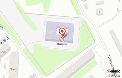 Лицей, г. Щёкино на карте