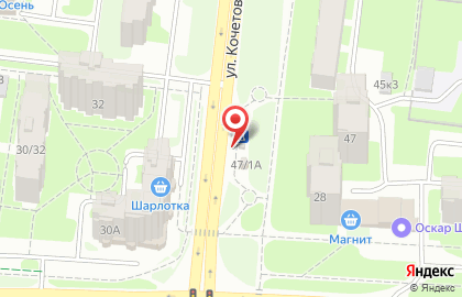 Жасмин на улице Кочетова на карте