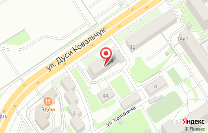Ветеринарный центр Балу на улице Дуси Ковальчук на карте