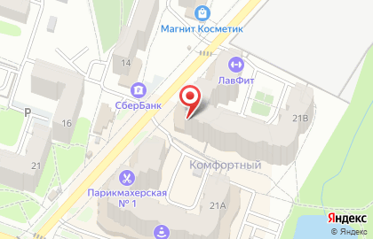 Барс на улице Новосёлов на карте