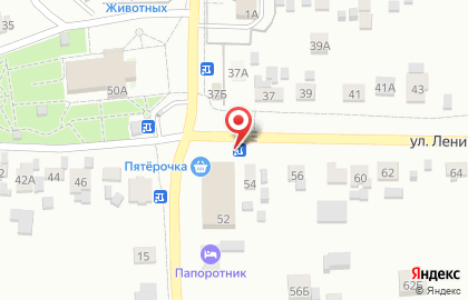 Киоск быстрого питания Русский аппетит на Ленина, 52 на карте