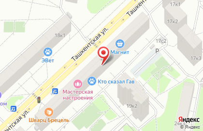 Магазин продуктов на Ташкентской, 19 к1 на карте