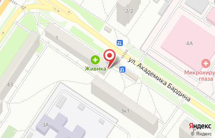 На БАРДИНА на карте