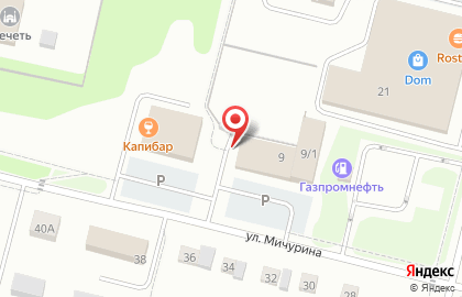 Магазин автоаксессуаров на улице Мичурина на карте