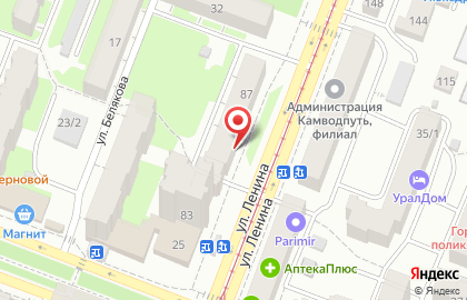 Зоомагазин Ветна на улице Ленина на карте