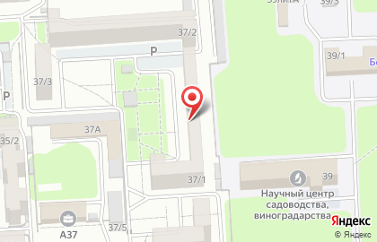 Ozon.ru на карте
