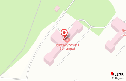 # 11 Больница в Солнечногорске на карте