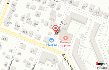 Мальва на Весенней улице на карте