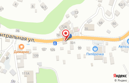 Магазин товаров смешанного типа на Центральной улице на карте