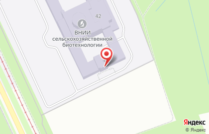Синтол на карте