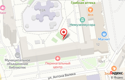 Городской перинатальный центр, Детская городская больница №10 на улице Антона Валека на карте