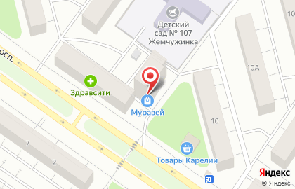 Хозяйственный магазин Муравей на Октябрьском проспекте на карте