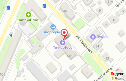 Торгово-сервисная компания Теплосфера на улице Пушкина на карте