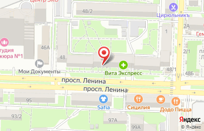 Магазин зоотоваров Petshop.ru на проспекте Ленина на карте