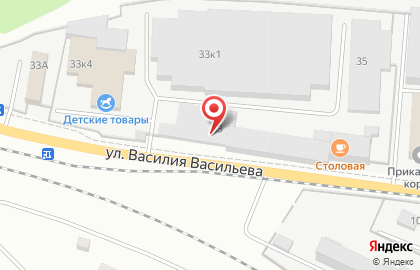 Магазин автотоваров на улице Василия Васильева на карте