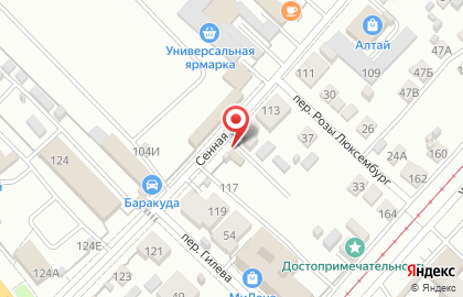 Пункт автострахования на Сенной улице на карте