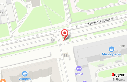 Автостоянка на Манчестерской, 3г на карте