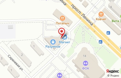 Спутниковая компания Триколор на проспекте Ленина на карте