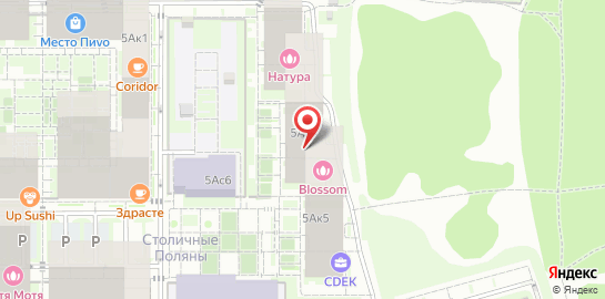 Салон красоты Blossom на улице Поляны на карте